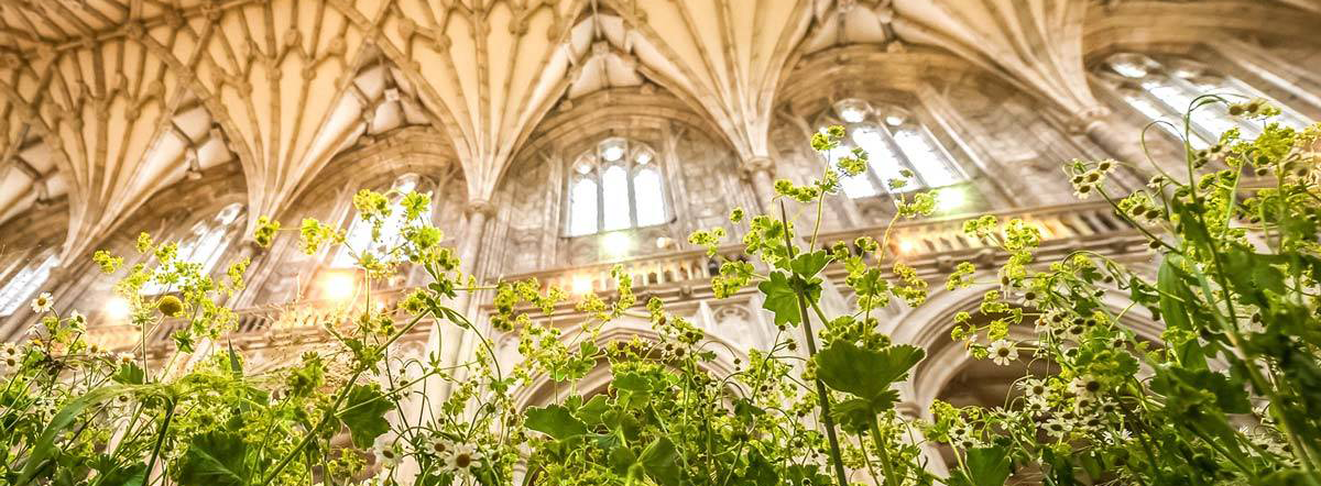 Church of England Season of Creation resources