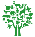 Resources from Green Anglicans