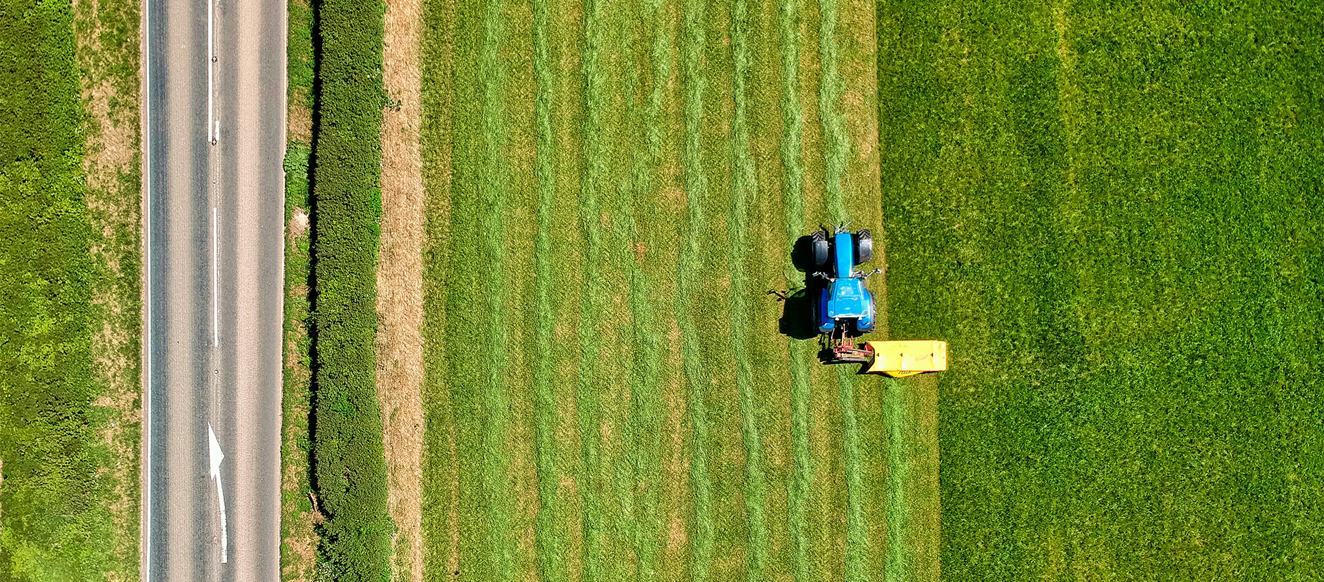 Harvest