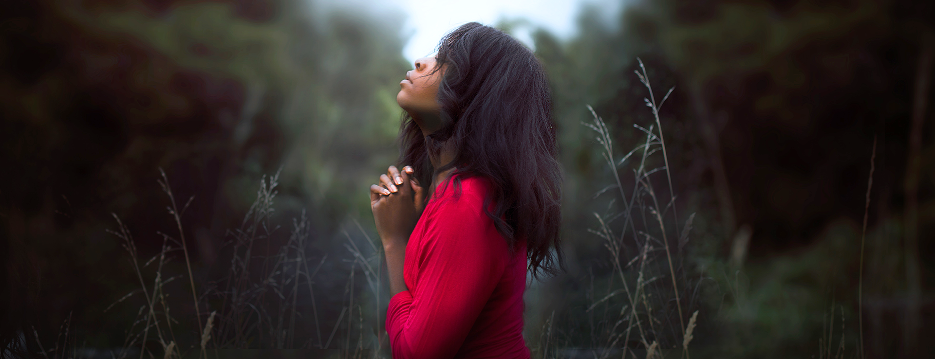 Season of Creation resources