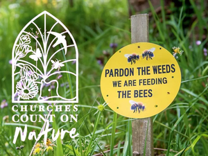 Webinar: Eco Churches count on nature!