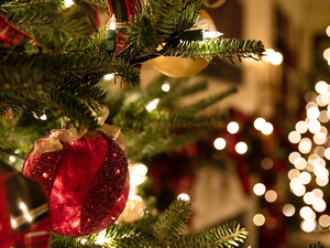 Christmas Tree Festival, Whippingham