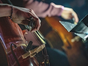 ‘Home Grown’ concert