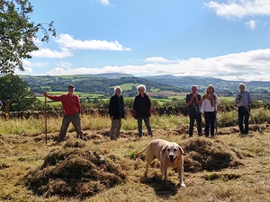 Webinar: On the ground