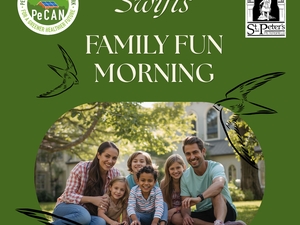 Swifts Family Fun Morning