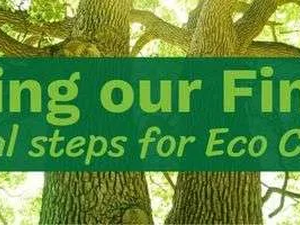 Webinar: Greening our finances