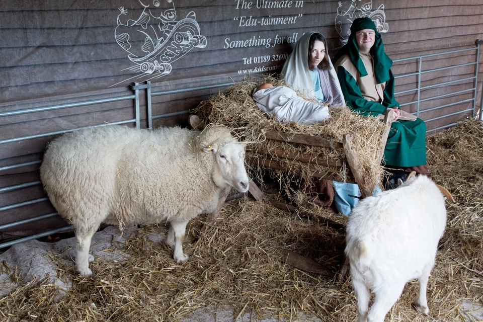 Some churches will host a Live Nativity in which the Christmas story is told with real animals