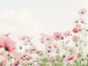 Music for Easter Time