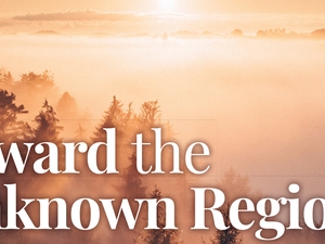 Towards the Unknown Region