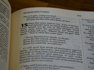 CMD: Reading the Biblical Prophets for Today