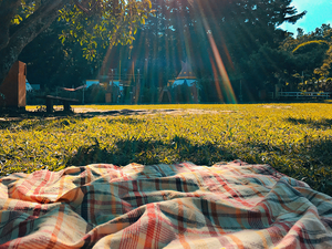 Musical Picnic