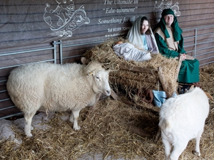 Bedhampton Live Nativity