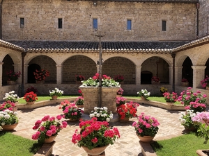 CMD: Francis and Clare of Assisi for Today