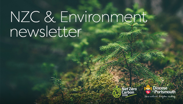 NZC & Environment newsletter
