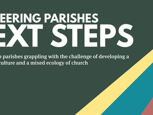 Pioneering Parishes: Next Steps