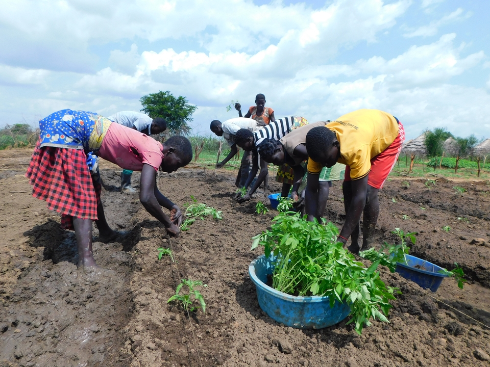 Farming in Uganda