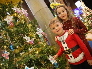 Families flock to Christmas tree festivals