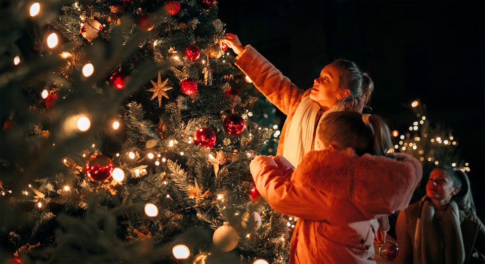 The Mountbatten carol service at the Brighstone Christmas Tree Festival
