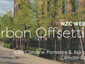 Webinar: Carbon Offsetting