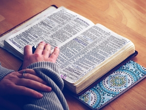 CMD: Reading the Bible: Meaning and Truth