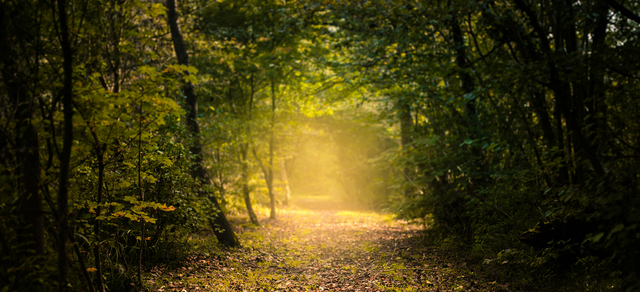 Spiritual direction