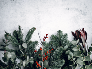 Christmas Fayre, Cowplain