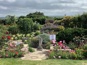 Alverstoke garden walkabout