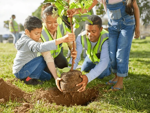 CMD: Deeper, Rooted, Lasting