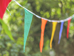 Carisbrooke Village Fête