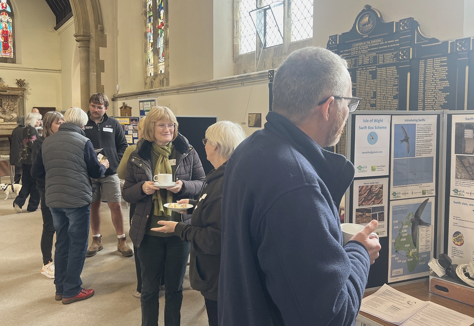 Organisations and groups provided resources and connections to support churches in leading on creation care
