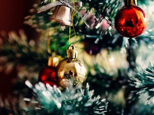 Christmas tree festival, Whippingham