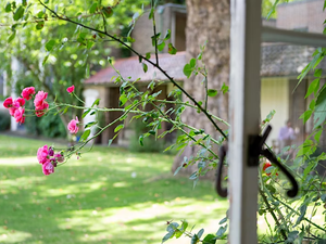 Living with Cancer ~ Walking with Hope