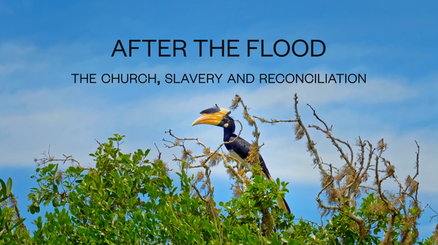After the Flood documentary – click to watch