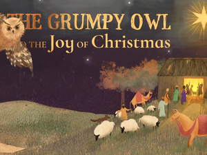 Drama: Amos and the Grumpy Owl
