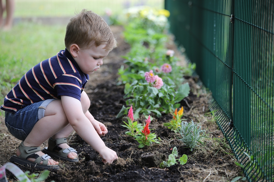 Tommy Mackenzie, aged 2, enjoys planting at the ‘Muddy Church’ allotment space outside St Matthew’s Church, Bridgemary